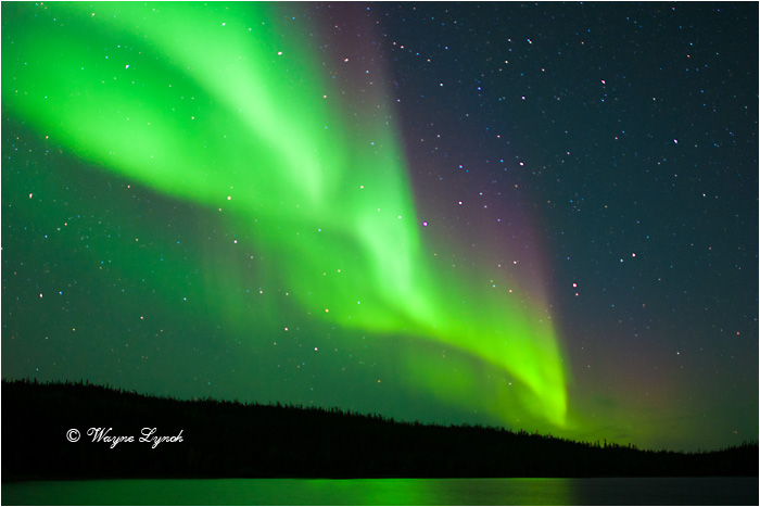 Aurora Borealis by Dr. Wayne Lynch &copy;